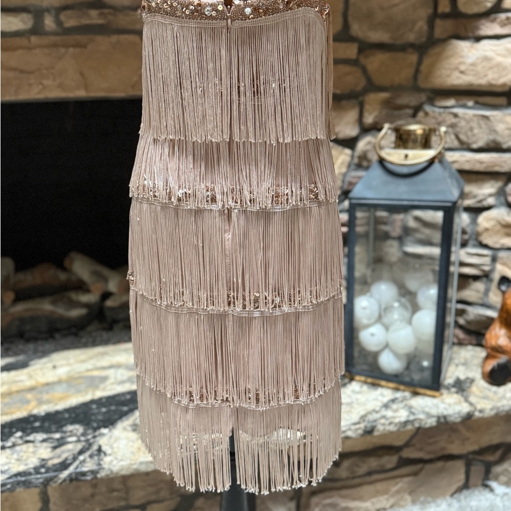 Beautiful Aiden Mattox Tiered Fringe Flapper Dress - Picture 5 of 6